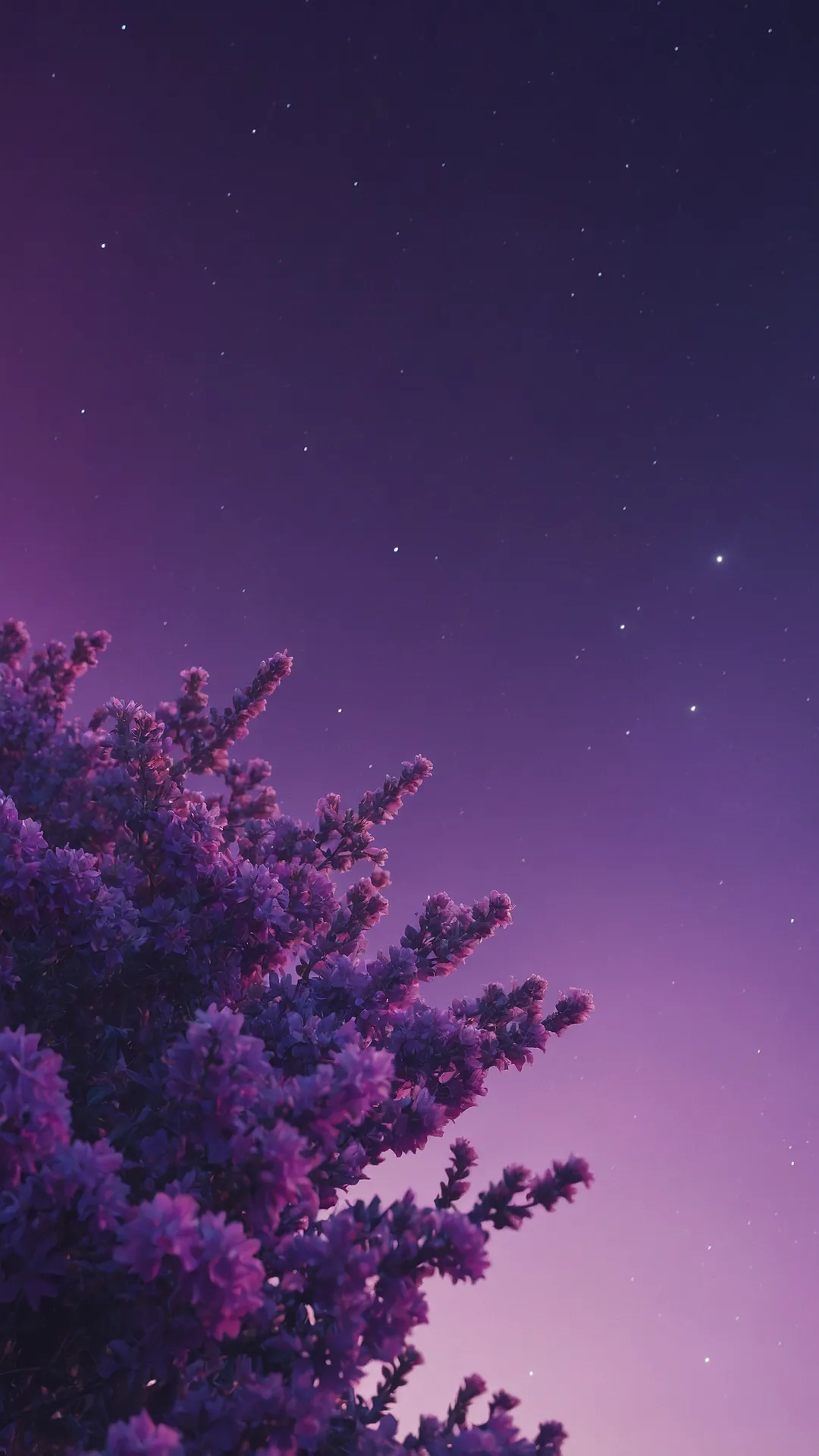 Power Bloom Wallpaper