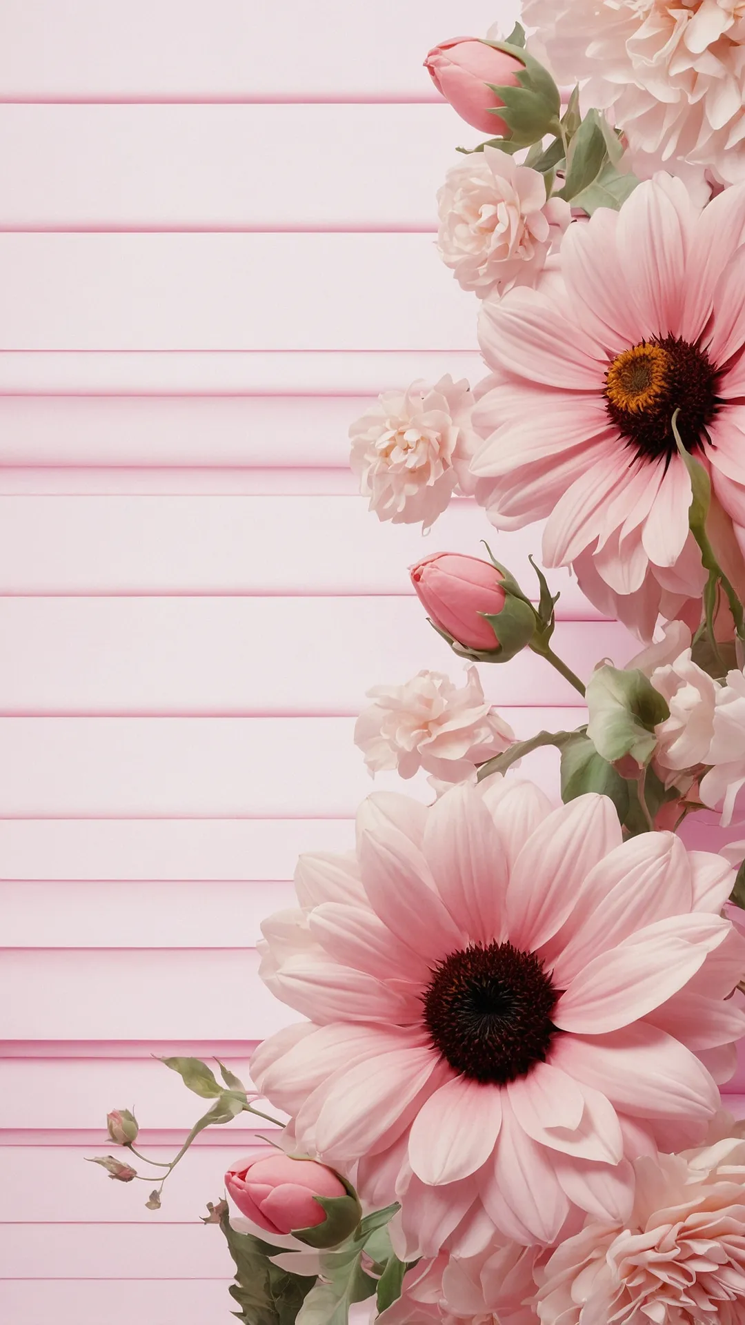 Screen's Rosy Aura
