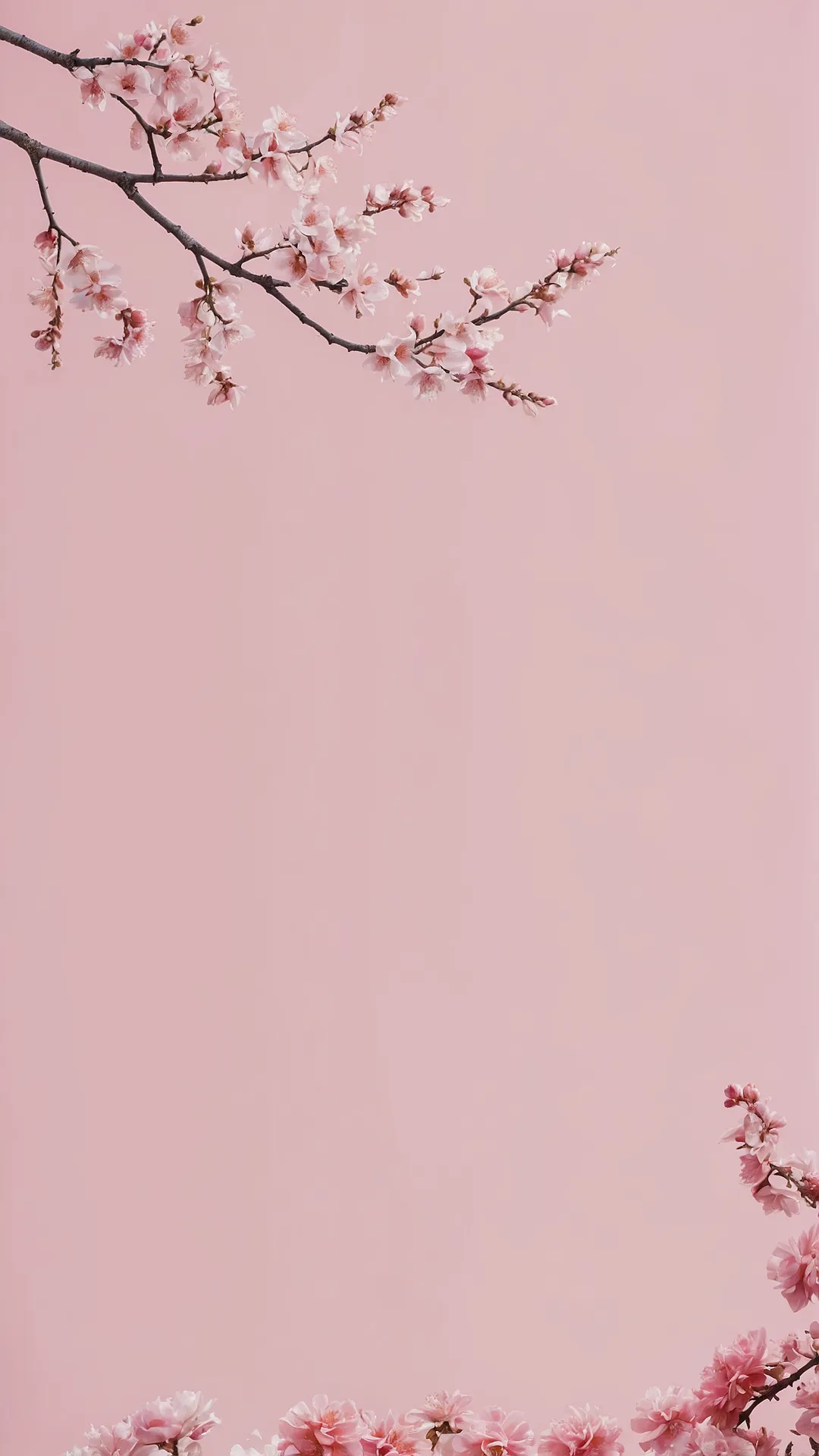 Extreme Pink Pop