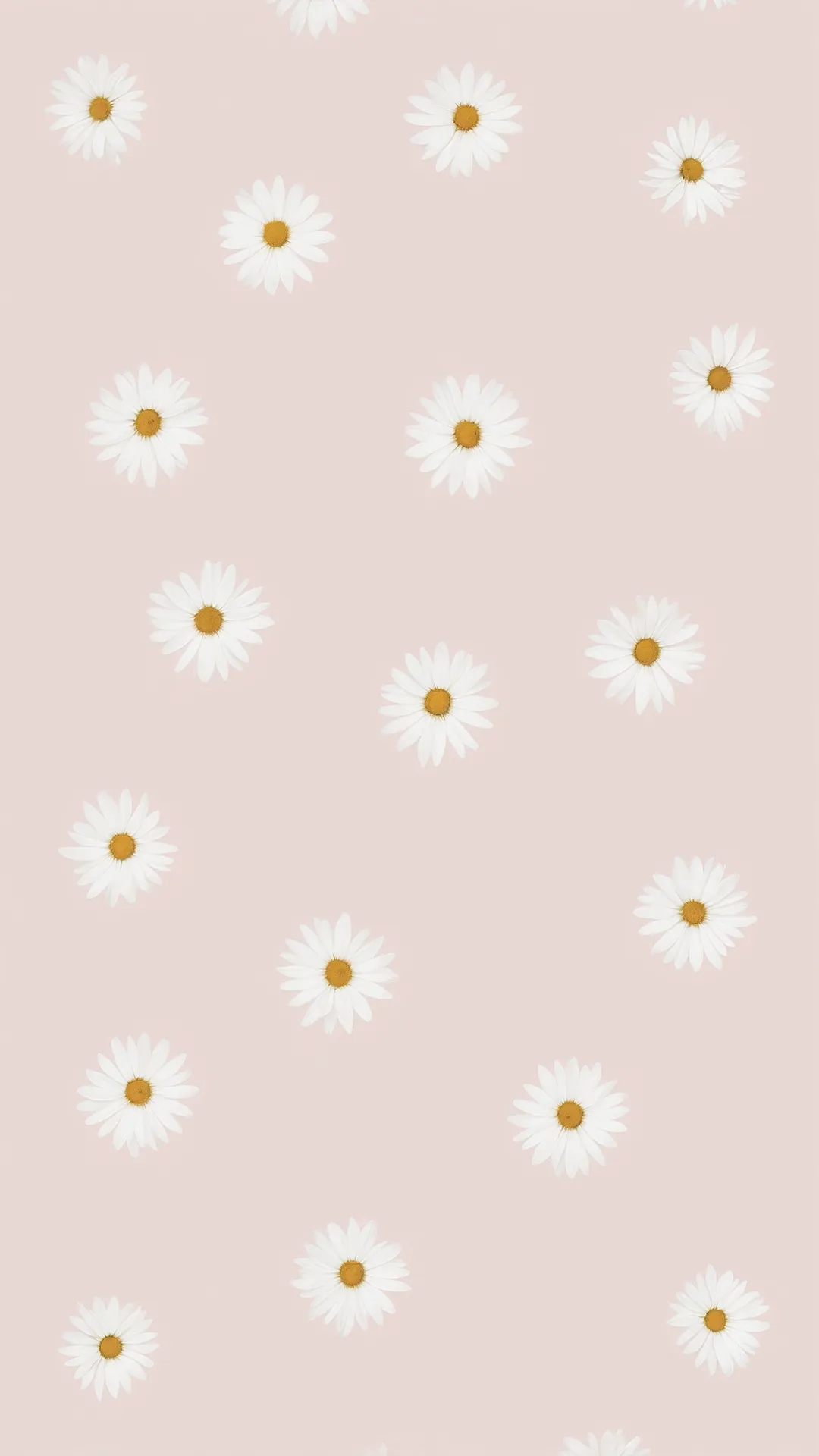 Soft Screen Serenity