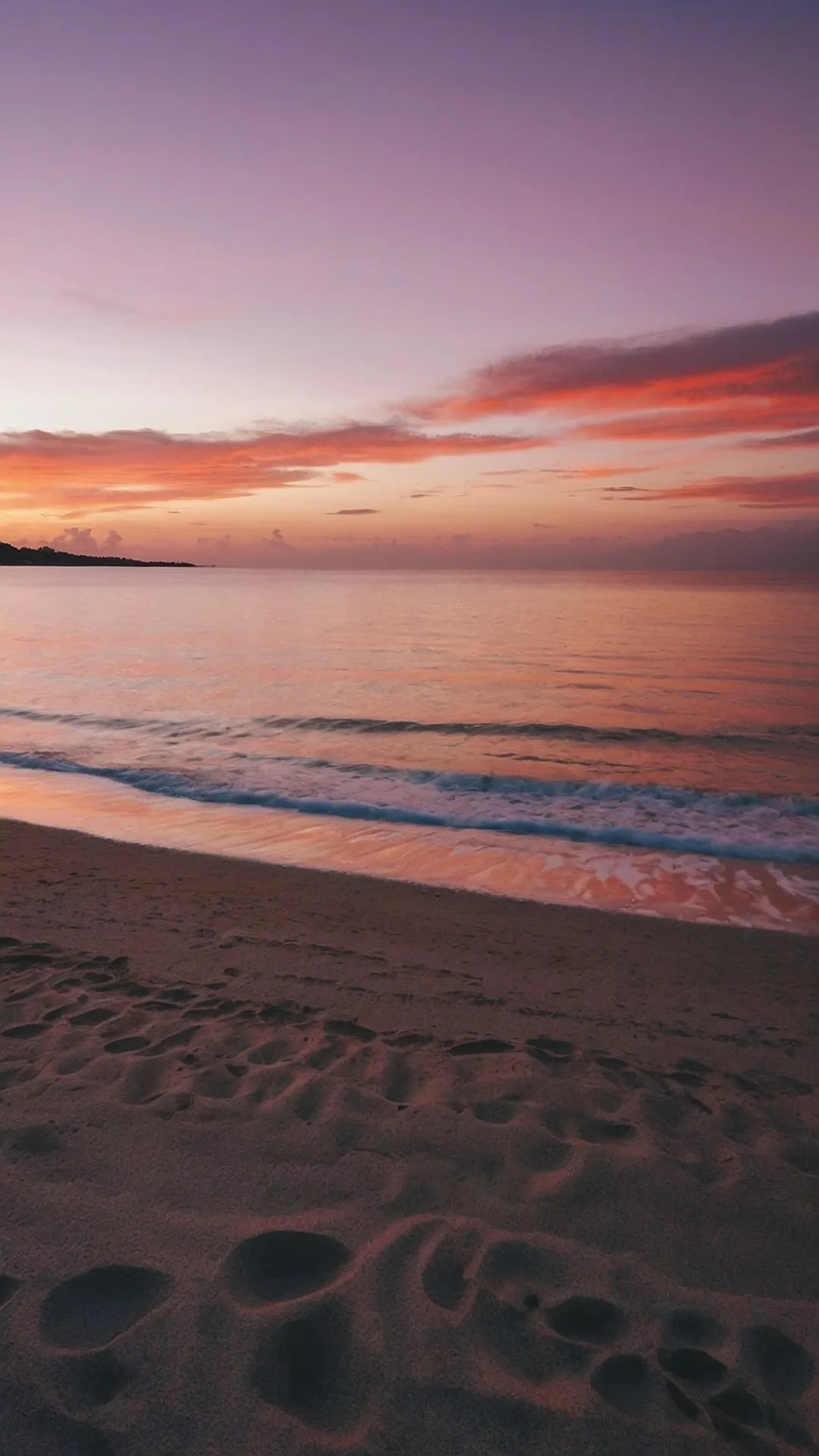 Dusk Delight