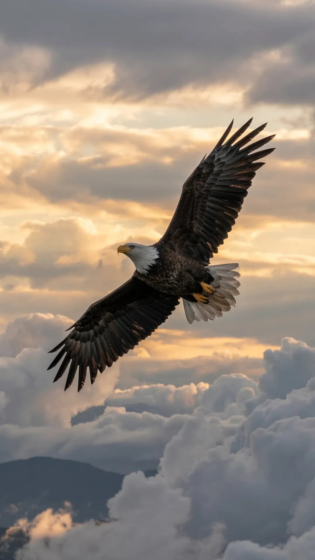 Skyscape Wings