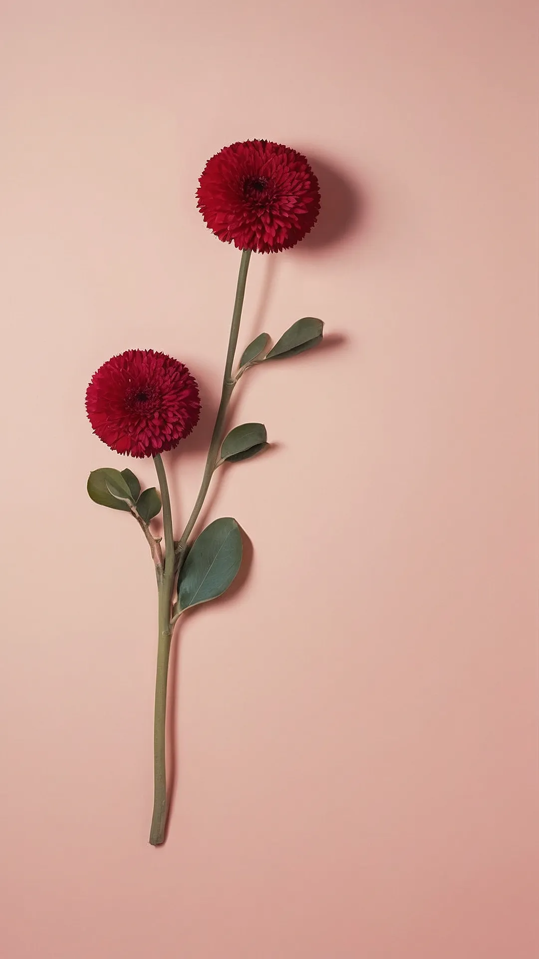 Bloom's Call