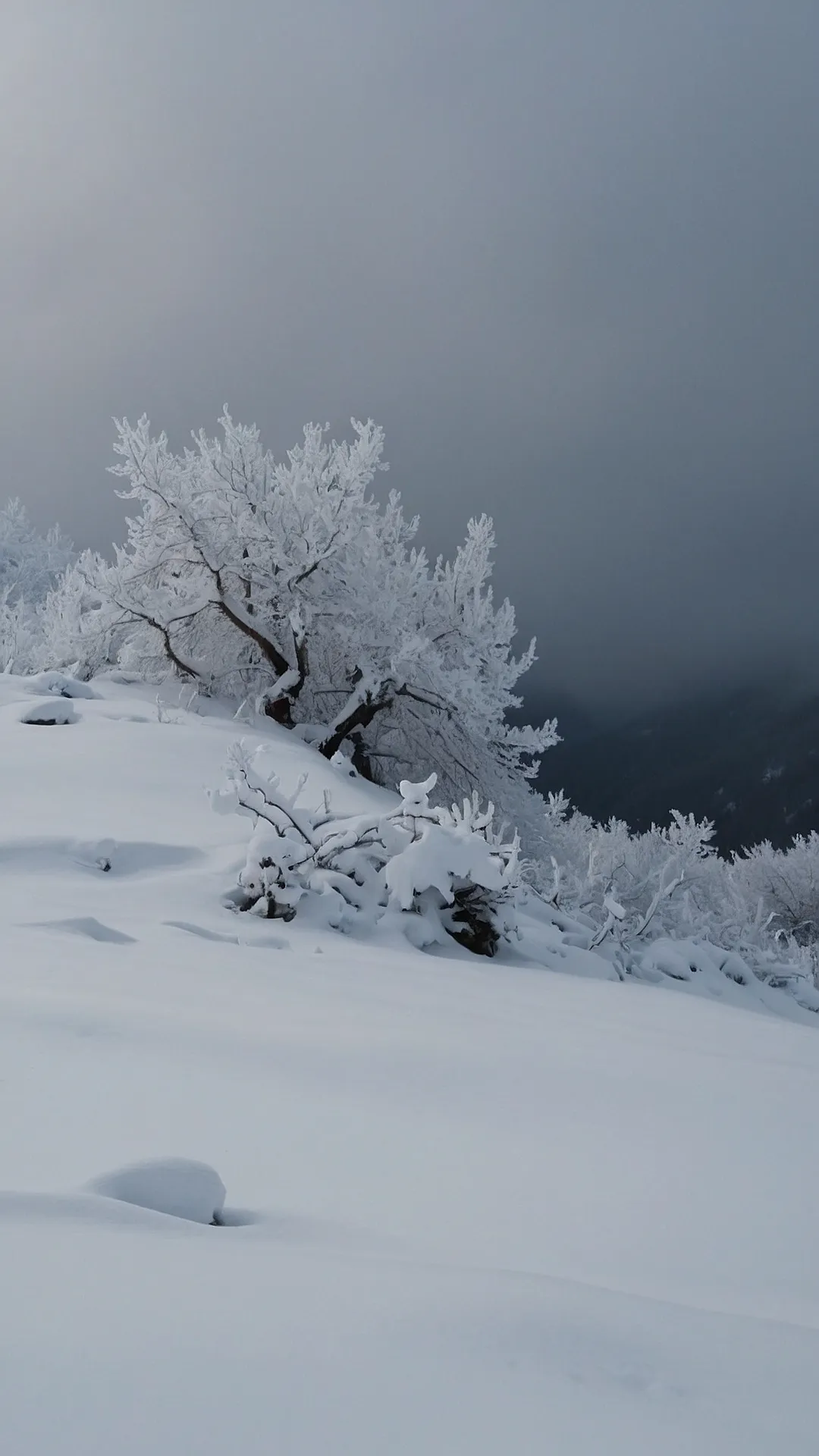 Time's Frozen Embrace: