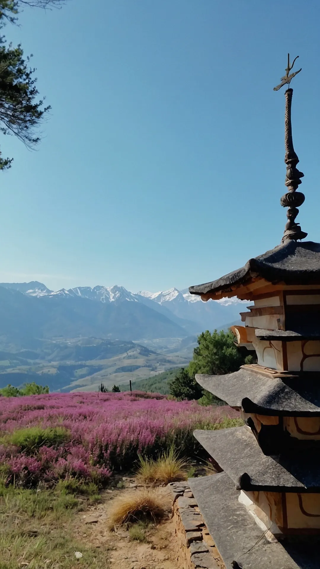 Pagoda's Panorama: