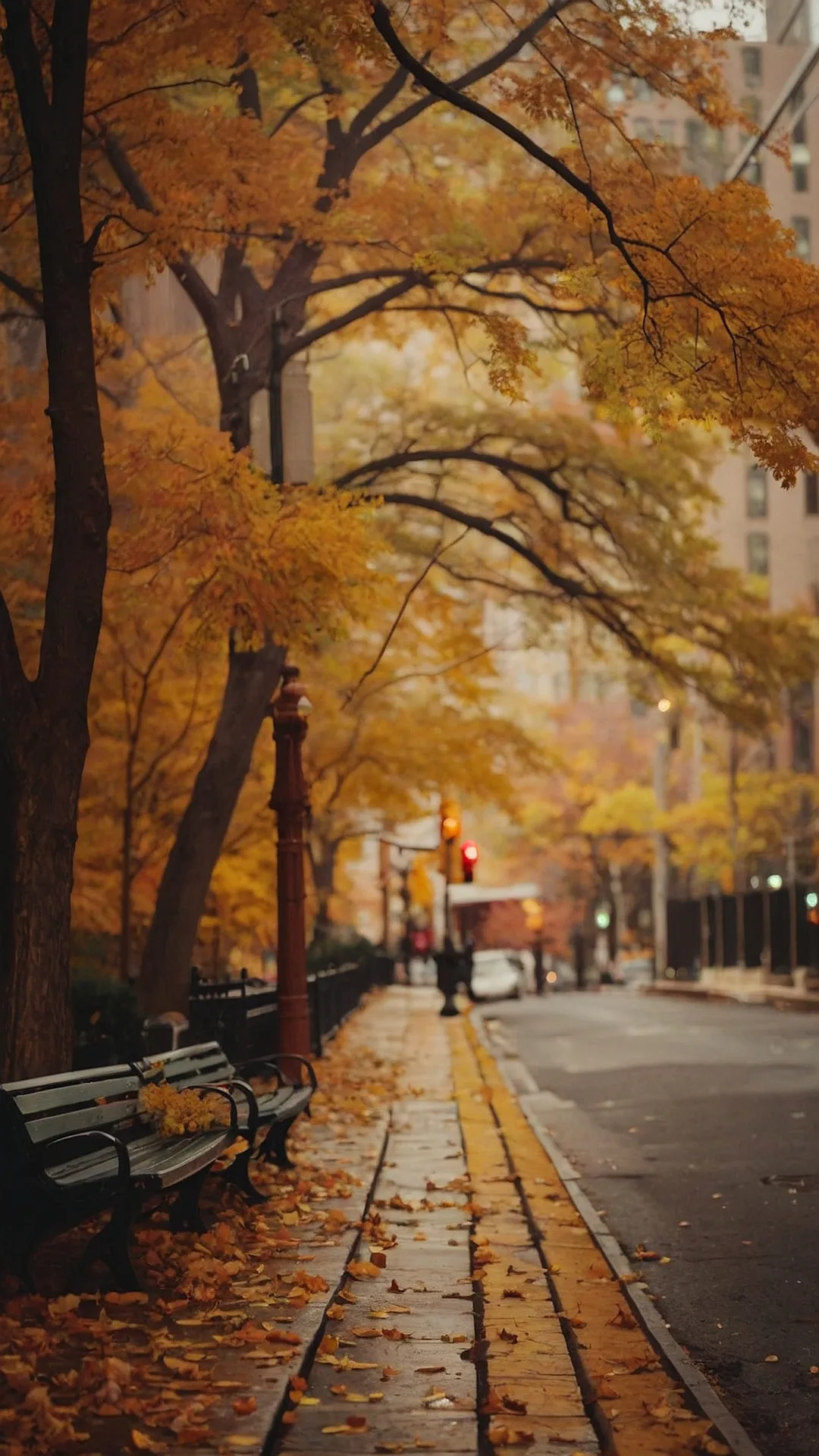 Autumn in New York: Bench-Worthy Views: