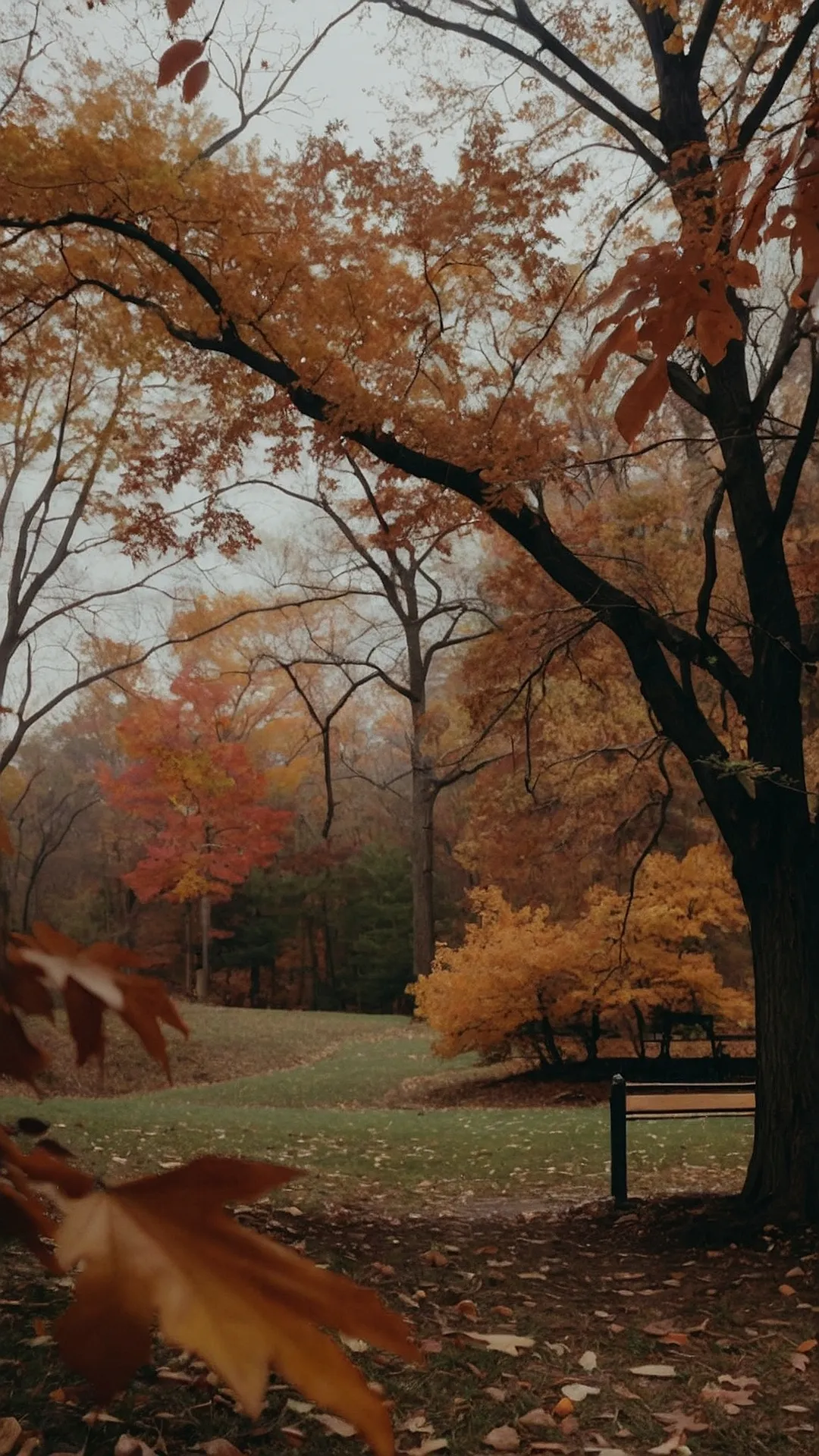 Autumn in New York: Bench & Chill: