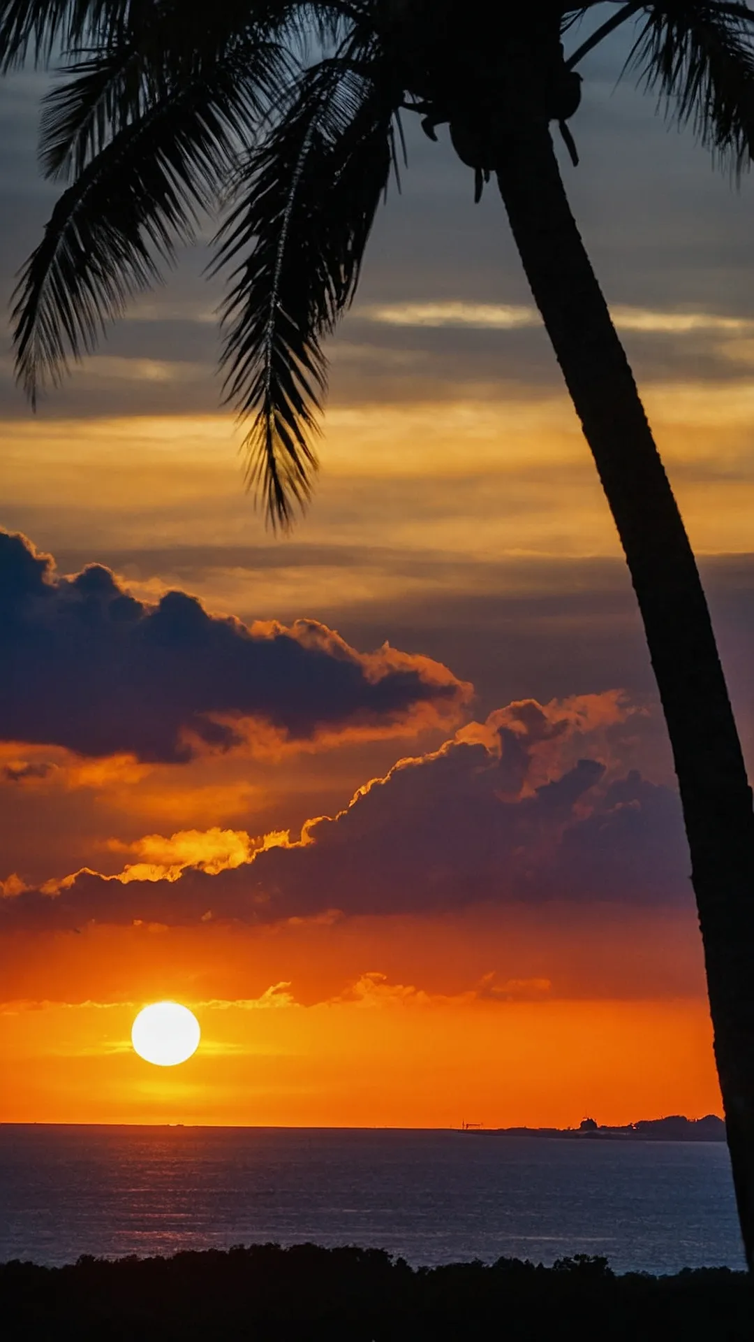 Palm Tree Sunset: