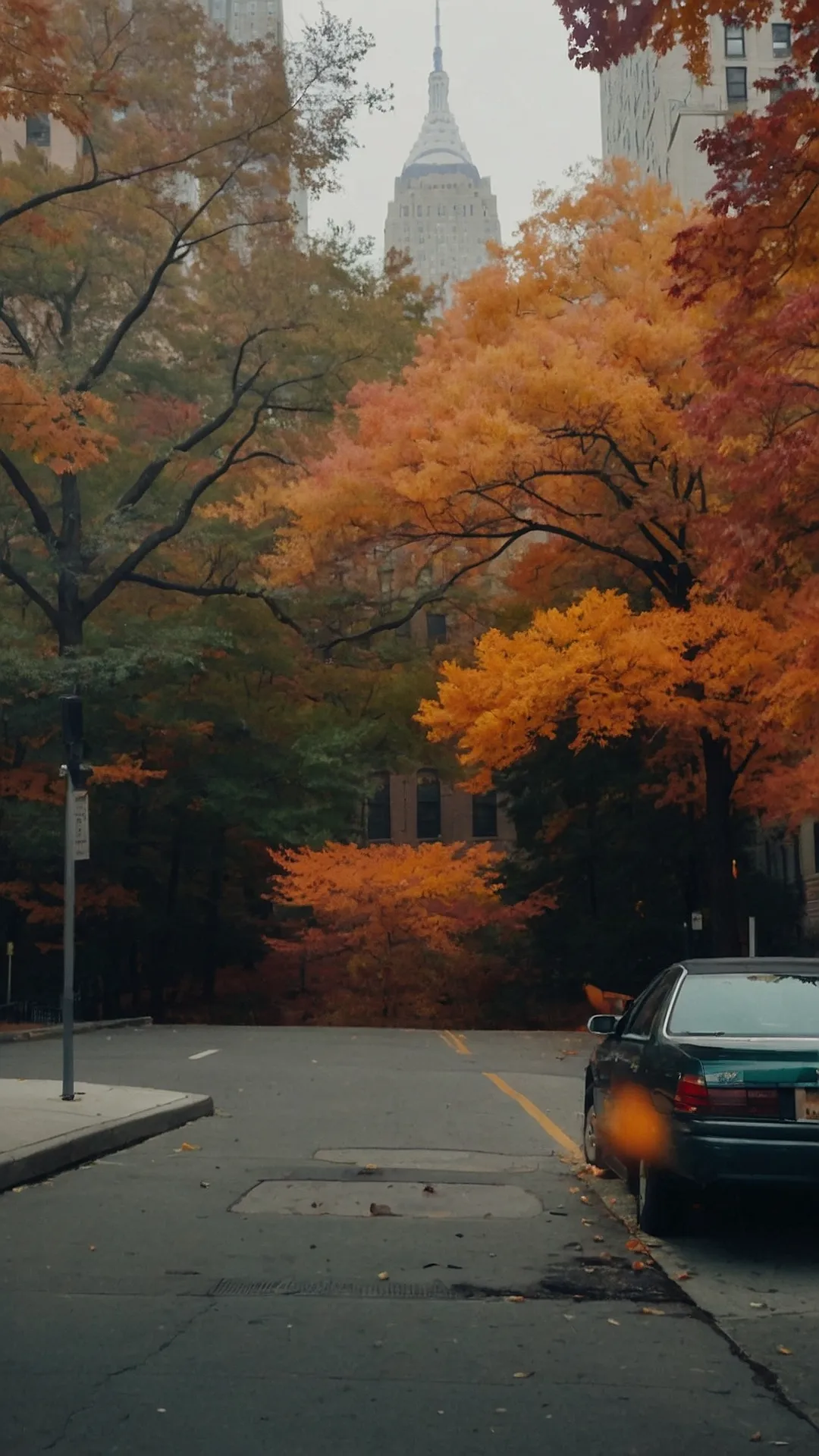 Autumn in the City That Never Sleeps: