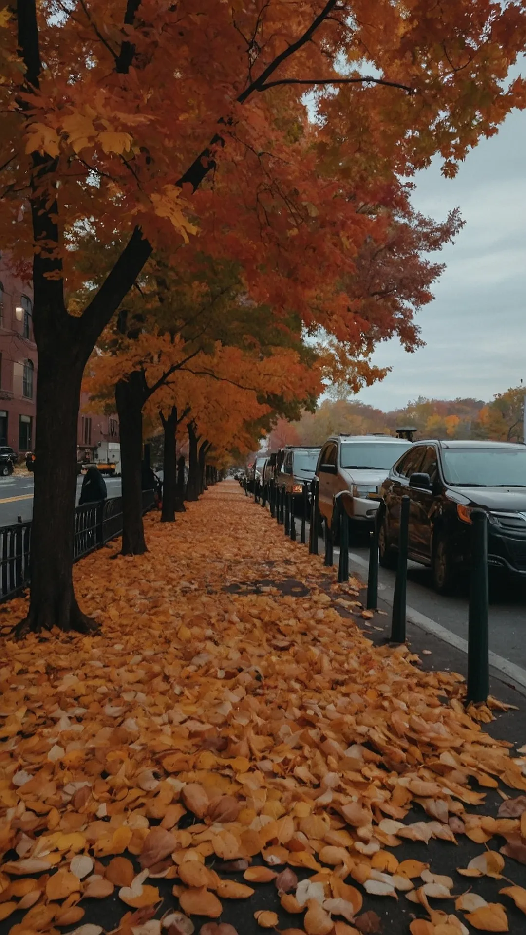 Autumn in New York:  Leaf it to Me!