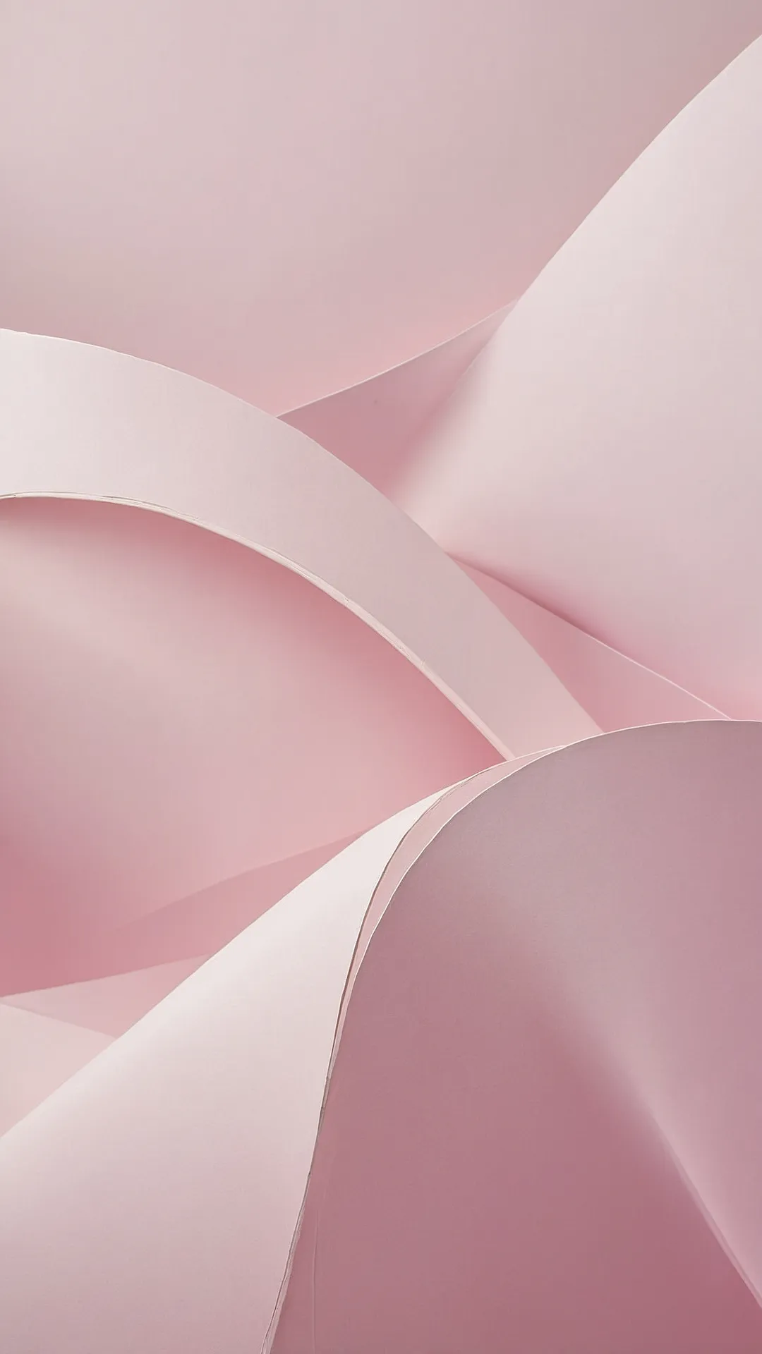 Blush Bloom Vibe