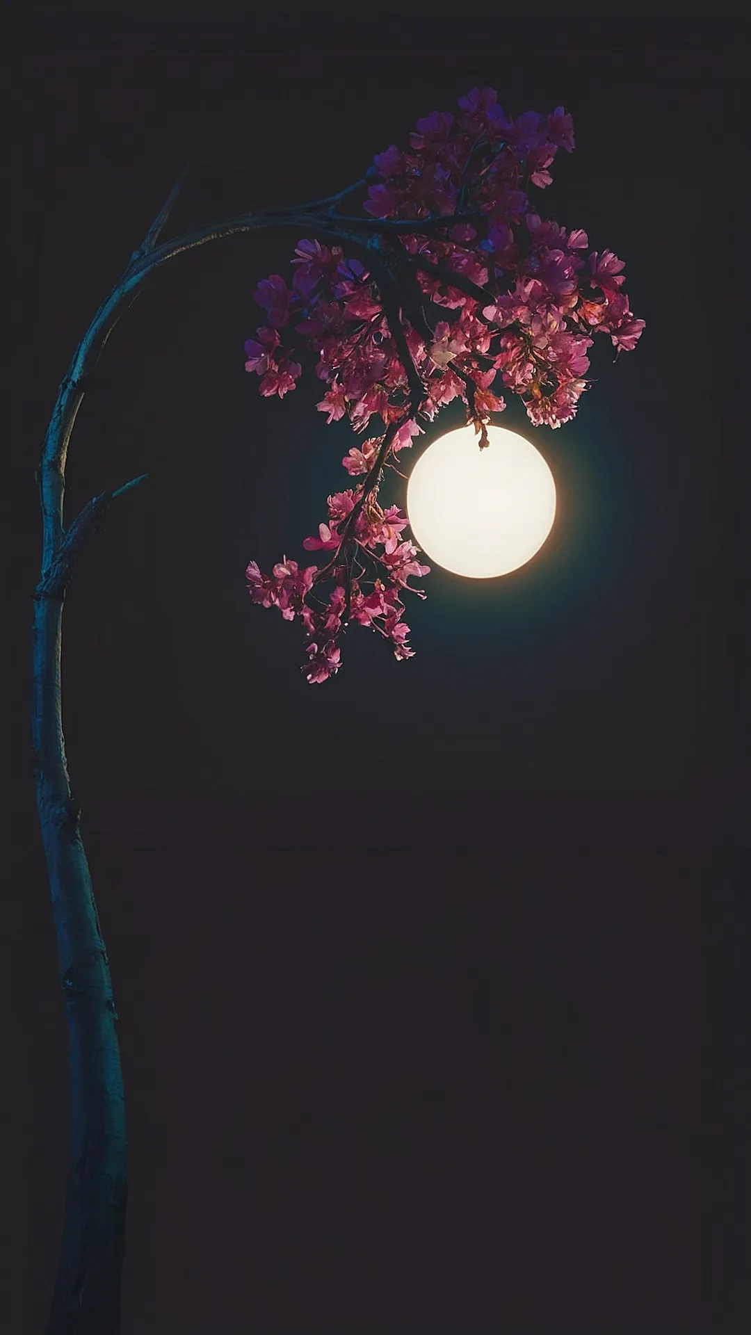 Streetlamp Serenade