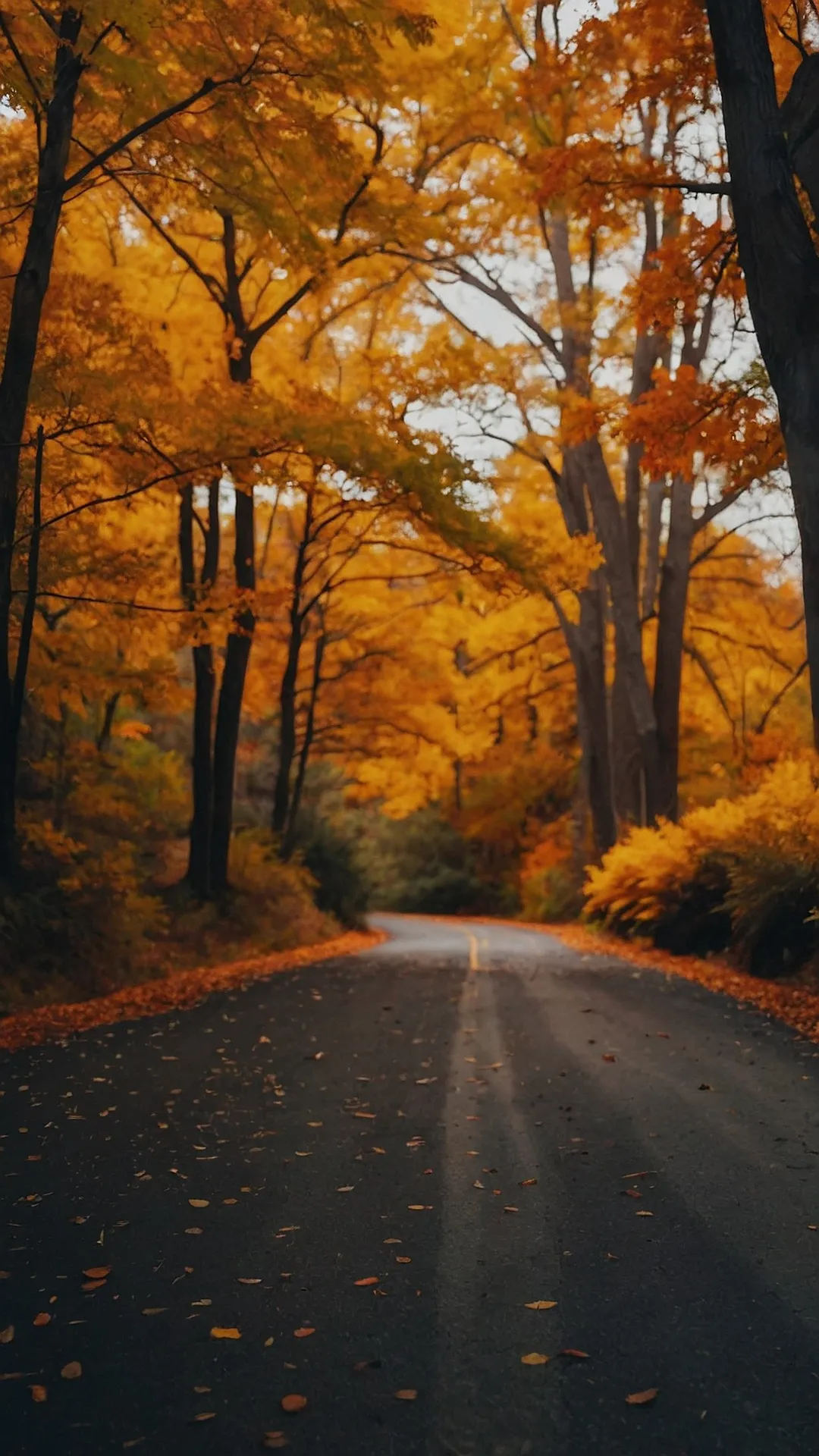 Autumn Road Trip Rhapsody: