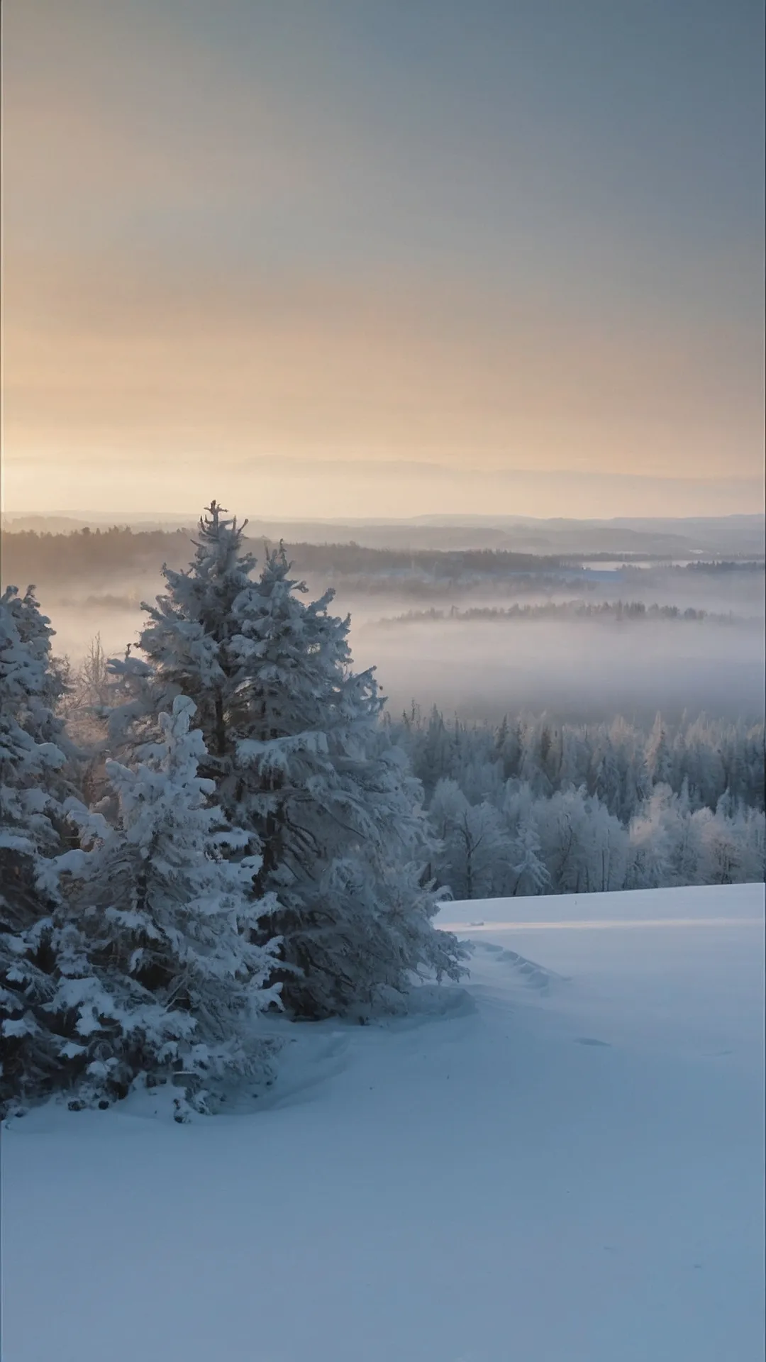 Frosted Escape: