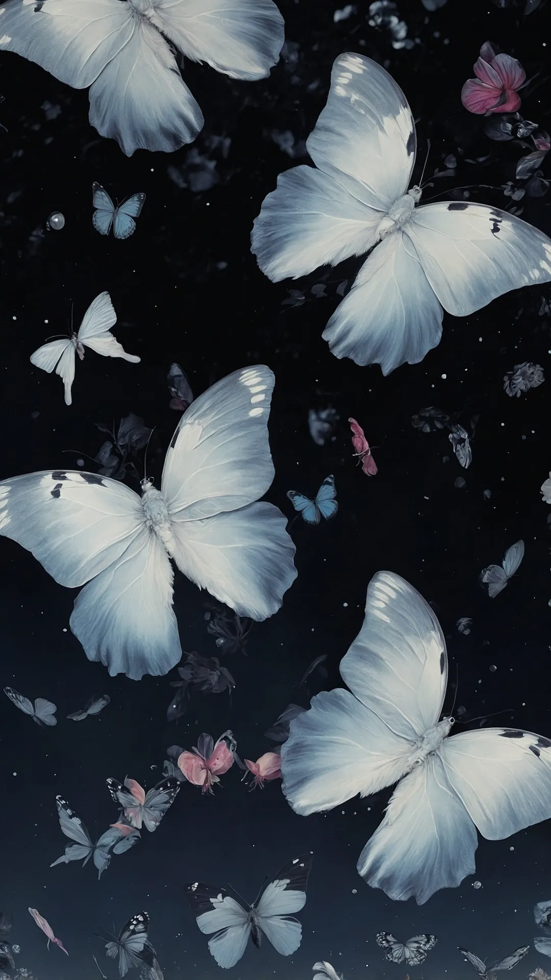 Petal Burst Canvas