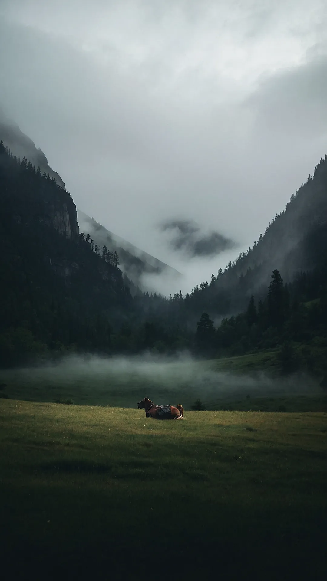 Mountain Majesty's Embrace
