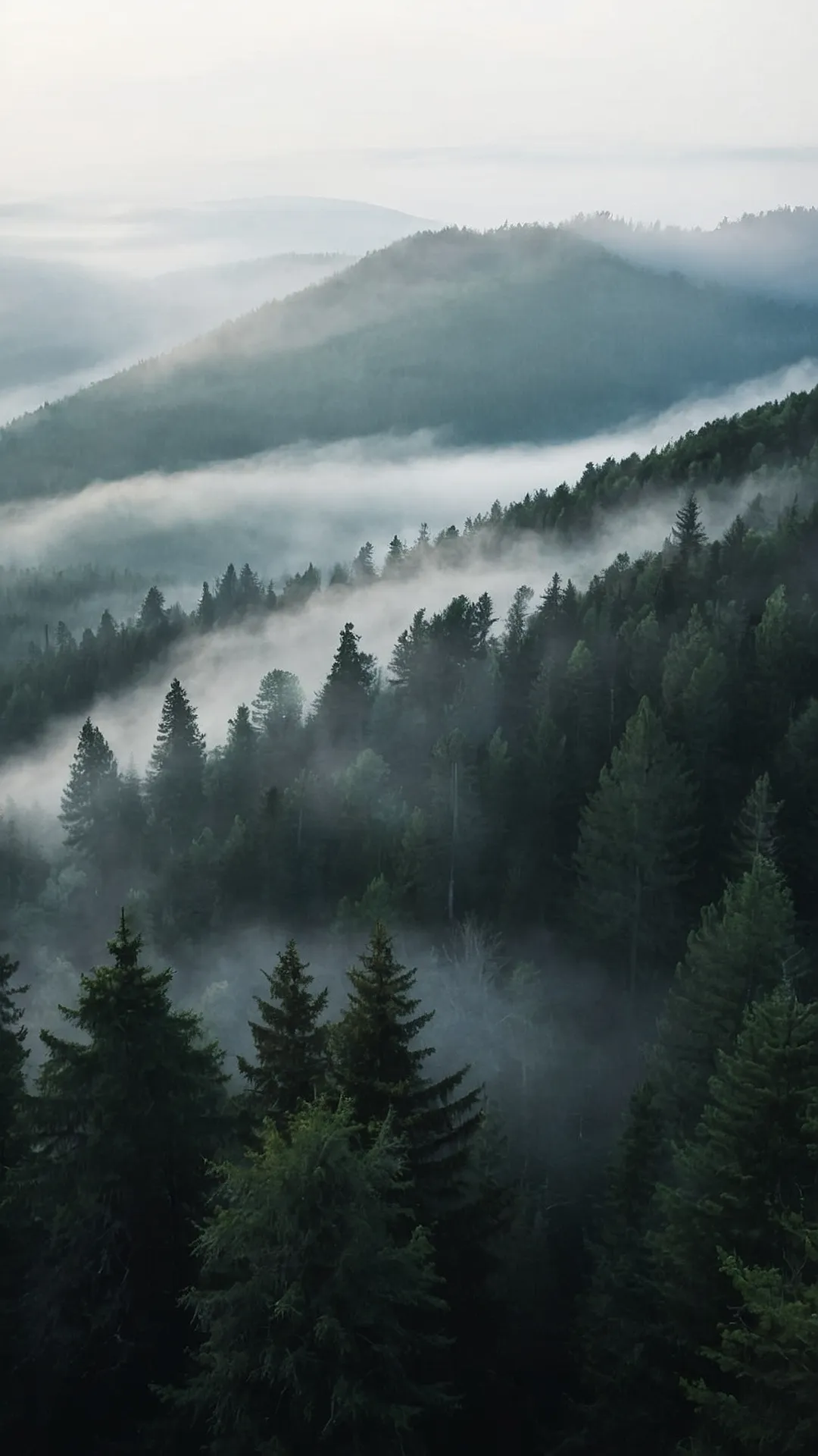 Mountain's Misty Crown: