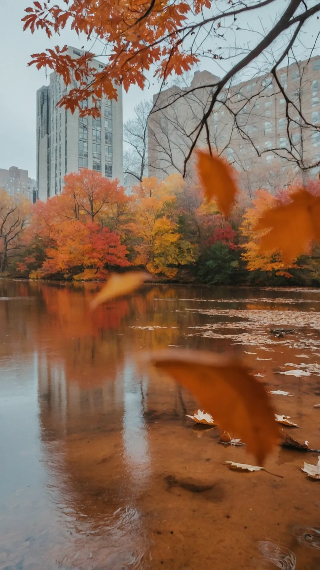 Autumn's NYC Reflection