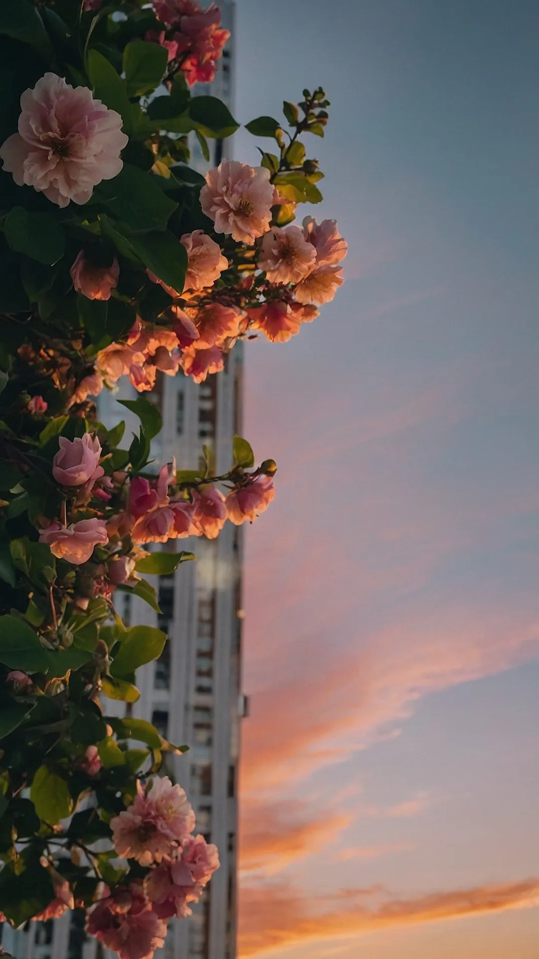 Urban Sunset