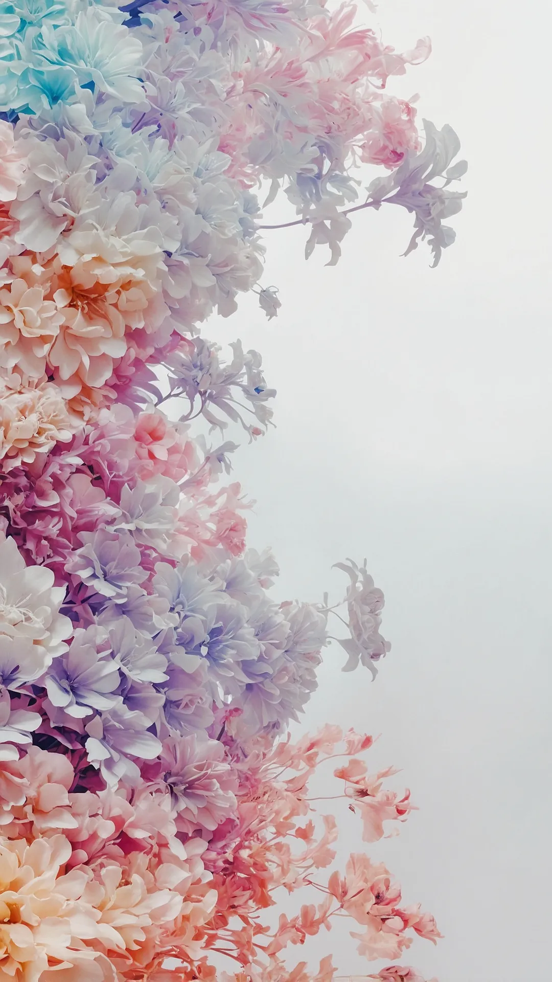 Screen Dreams Come Alive.