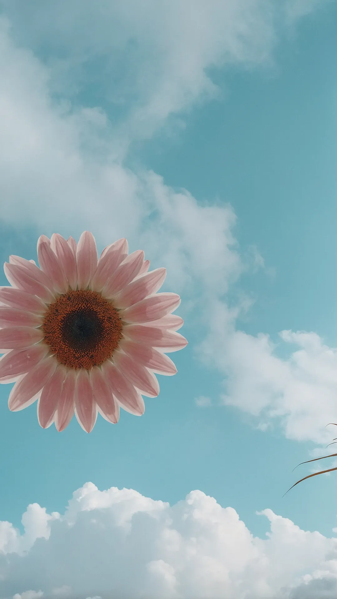 Verdant Screen Views